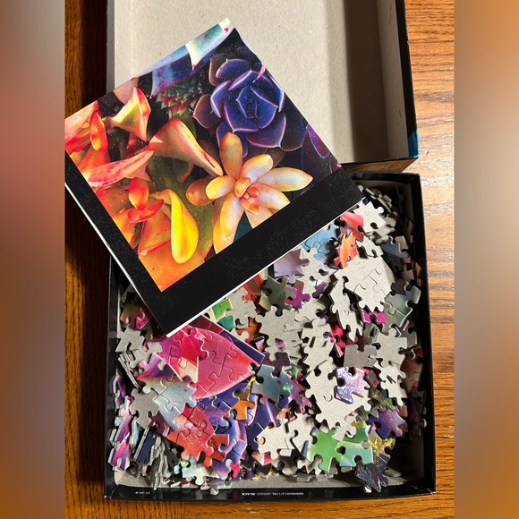 Buffalo Games Photographic Collection 1000-Piece Puzzle – Multicolor Succulents - Picture 2 of 2